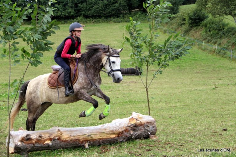 ecuries d'oré pension commerce valorisation poney