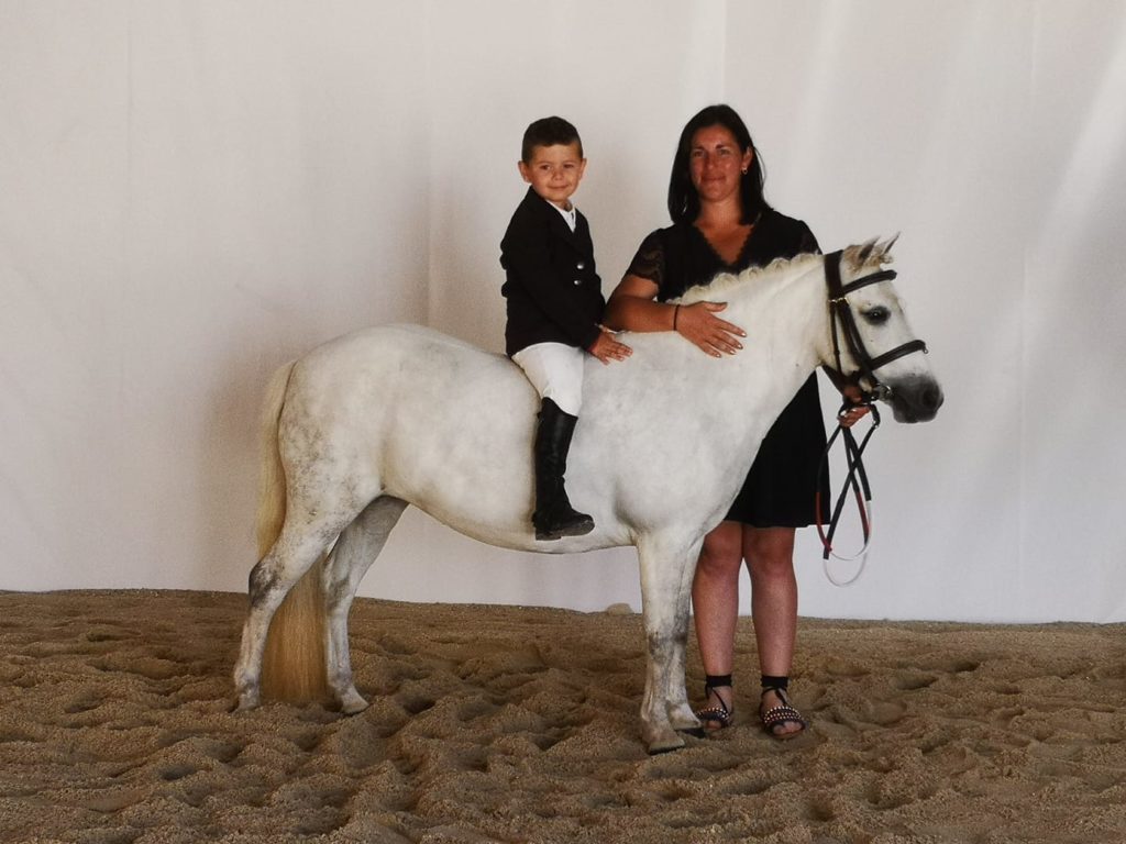 ecuries d'oré valorisation élevage poneys de sport