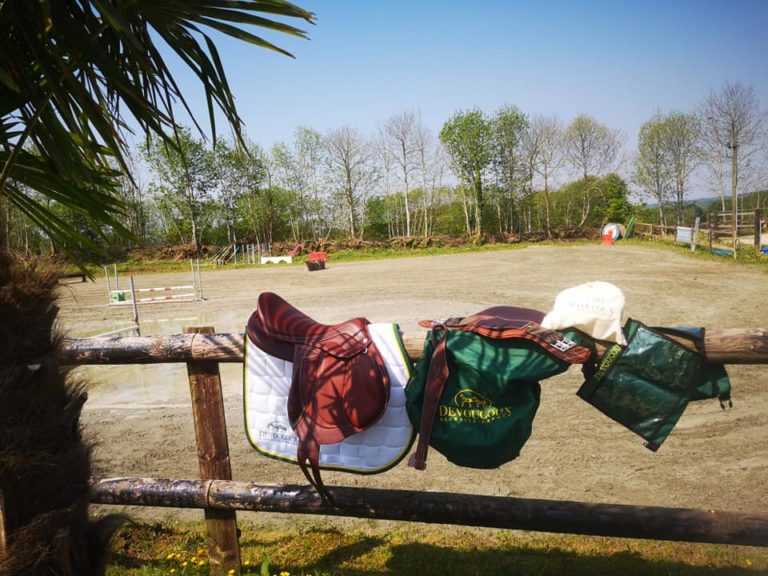 ecuries d'oré valorisation élevage poneys de sportecuries d'oré valorisation élevage poneys de sportecuries d'oré valorisation élevage poneys de sportecuries d'oré valorisation élevage poneys de sport