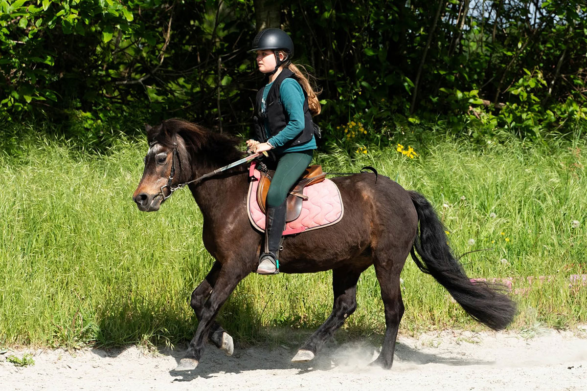 poney-club Saint Thurien - Ecuries d'Oré
